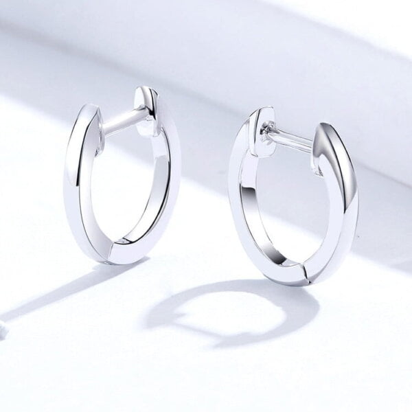 Lanko formos auskarai spalva Silver Lanko formos auskarai spalva Silver