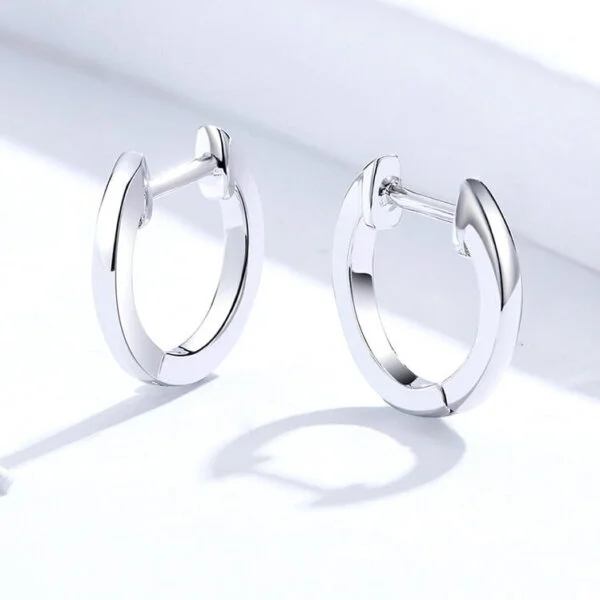 Lanko formos auskarai spalva Silver Lanko formos auskarai spalva Silver