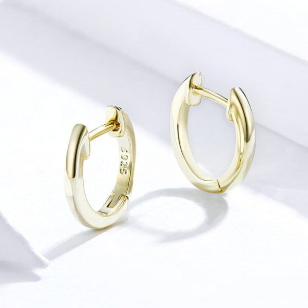 Lanko formos auskarai spalva Gold Lanko formos auskarai spalva Gold