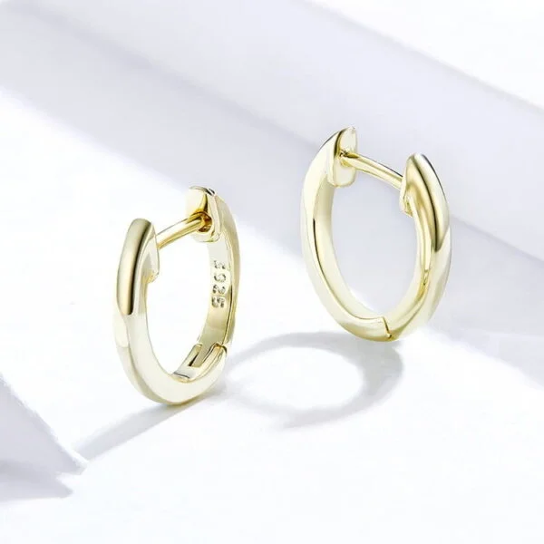 Lanko formos auskarai spalva Gold Lanko formos auskarai spalva Gold