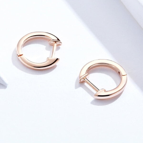 Lanko formos auskarai spalva Rose Gold Lanko formos auskarai spalva Rose Gold