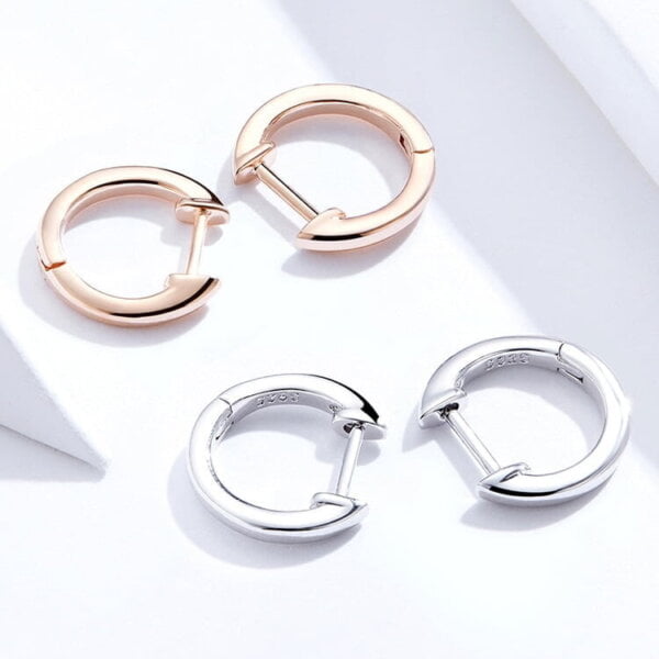 Lanko formos auskarai spalva Rose Gold ir Silver Lanko formos auskarai spalva Rose Gold ir Silver