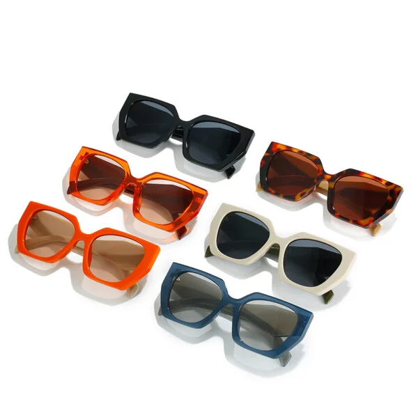 akiniai-nuo-saules-vera-sunglasses-06 akiniai-nuo-saules-vera-sunglasses-06